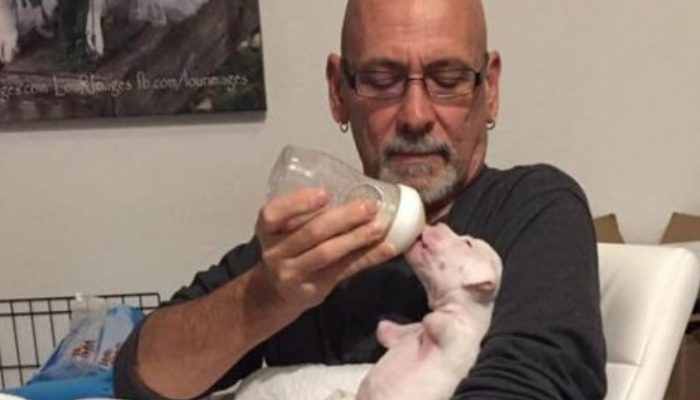 Owner refuses to euthanize a little dog without front legs and chooses to give him a chance