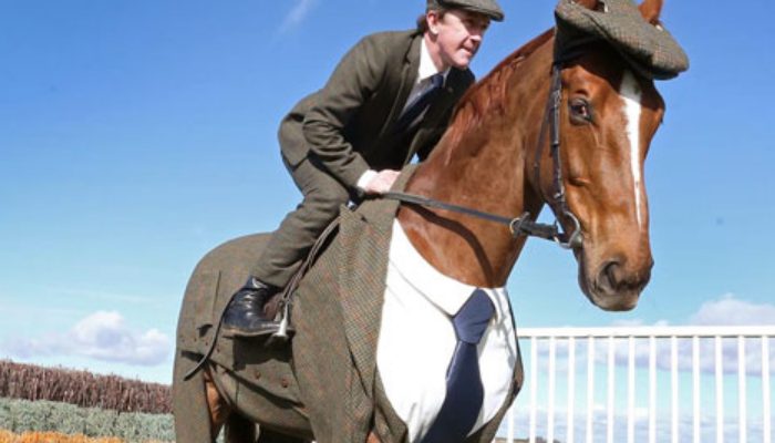 Horse gets a custom tailored tuxedo and looks totally astonishing