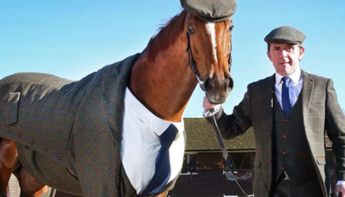 Horse gets a custom tailored tuxedo and looks totally astonishing