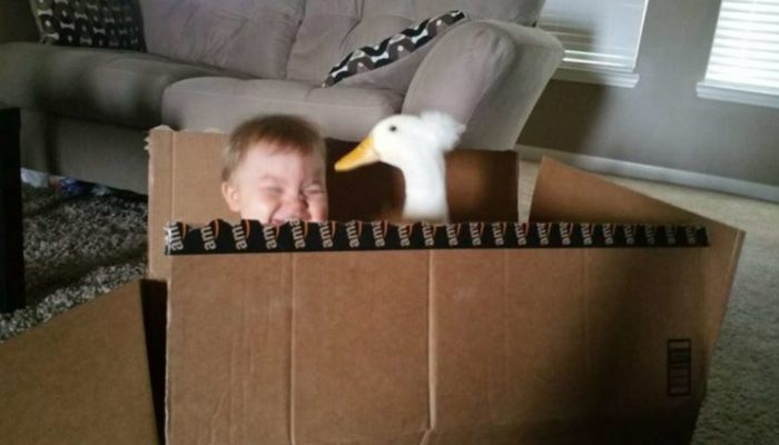 Baby and his duck eat, play and sleep together all the time