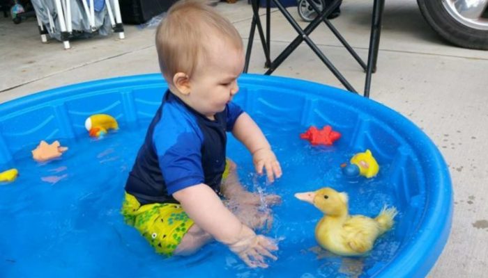 Baby and his duck eat, play and sleep together all the time