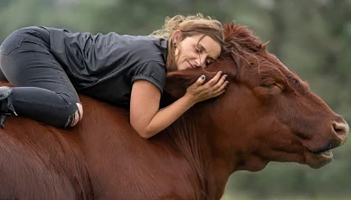 Who would imagine that a huge bull and a girl would be the best friends