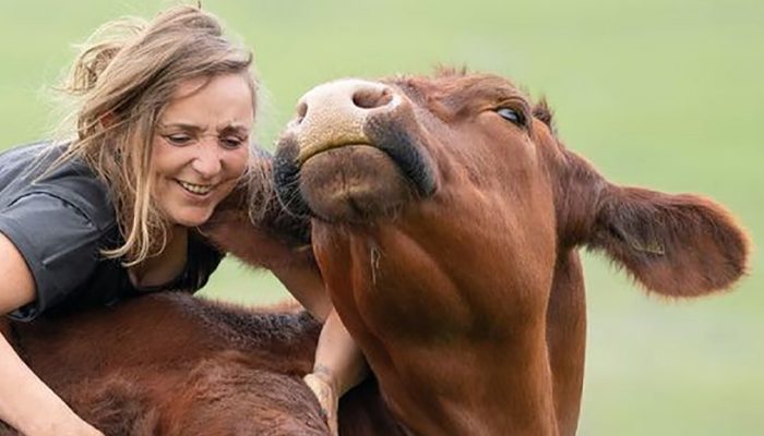 Who would imagine that a huge bull and a girl would be the best friends
