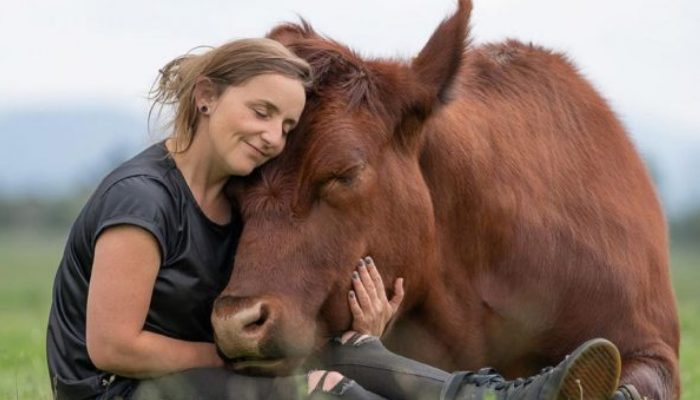 Who would imagine that a huge bull and a girl would be the best friends