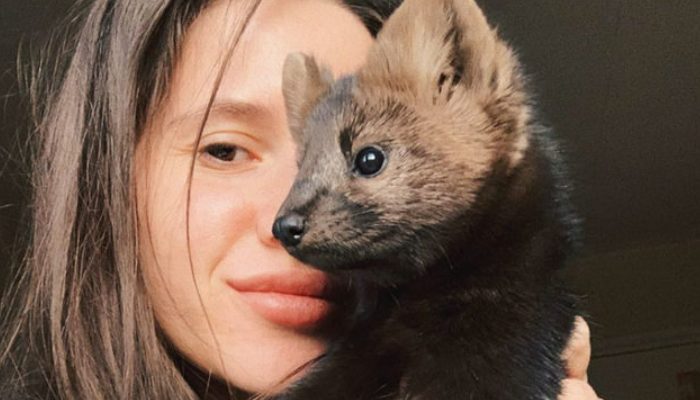Merciful lady saves a sable from being killed and turned into somebody's fur garment and embraces her as pet