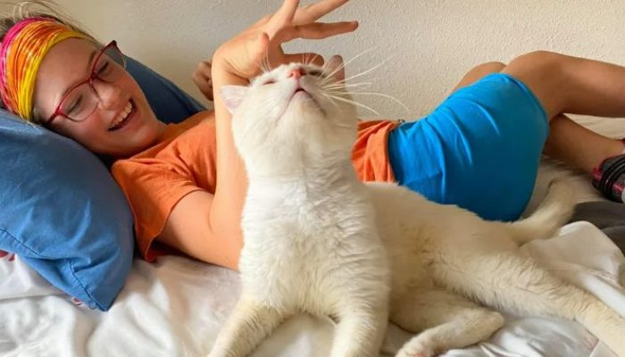 He runs into the arms of the young girl in her wheelchair as soon as the cat knows she has adopted him