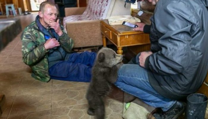The community had numerous residents, but only one noticed the bear cub and rescued him