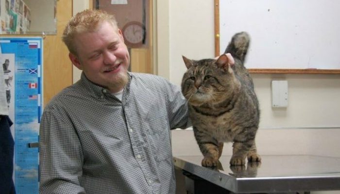 When a long-lost cat is found on the news, a man who has been searching for the feline for a long time is surprised to see his beloved pet