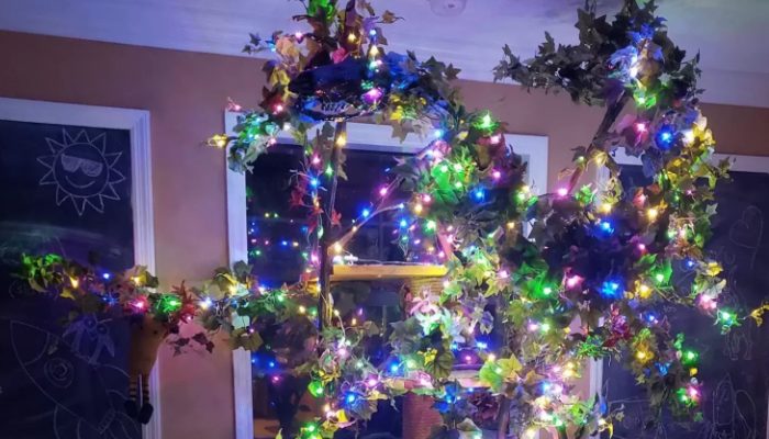 Luna enjoys Christmas and New Year's Eve more than any other time of year