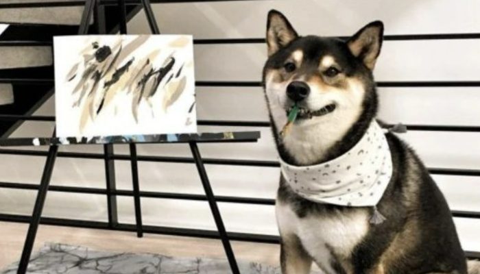 A competent dog makes lots of money by selling his imaginative manifestations on the web.