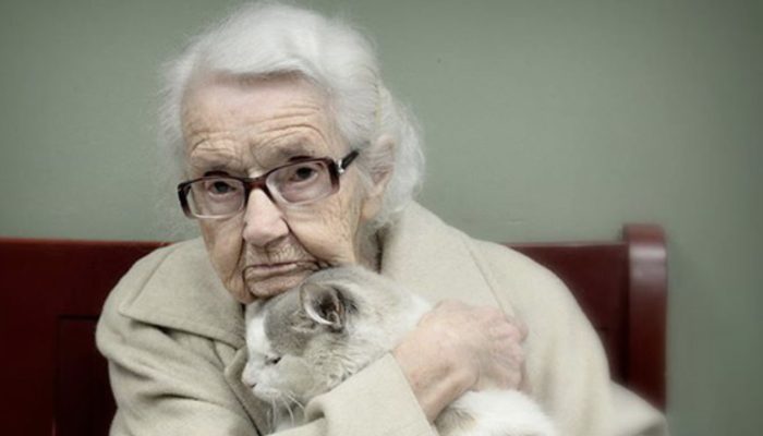 19-Year-Old solitary cat has found new home with 100-year-old woman.