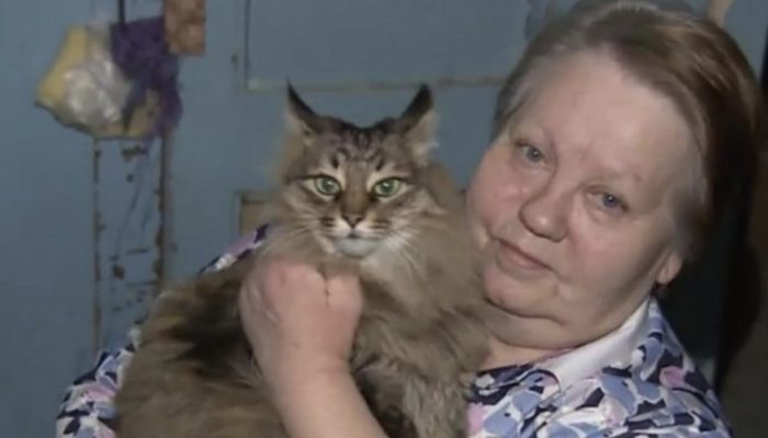 A valiant lost feline safeguarded an unwanted child's life by warming him with her body and keeping him from sticking to death.