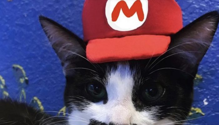 Mostaccioli was brought into the world with a mustache-like imprint over her mouth, and she has a ton of fans on the web.