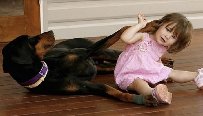 As he sticks to her, the family comprehends the as of late protected canine is saving the little child's life.