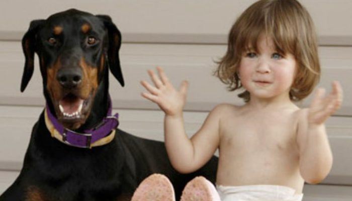 As he sticks to her, the family comprehends the as of late protected canine is saving the little child's life.