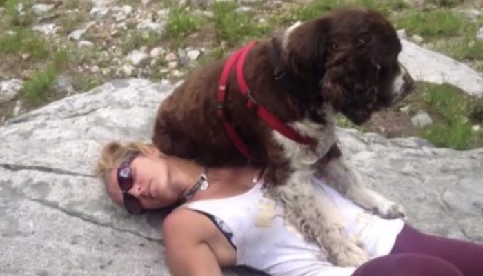 Finding a 55-pound injured and deserted canine, a lady conveys him for 6 hours on her shoulders, saving his life.