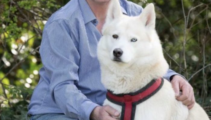 Canine legend Husky protected the existence of an unwanted in the baby park by his mom.