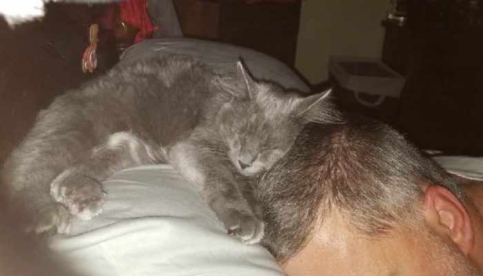 A man found a little cat in his boat, and the kitty turned into a nearby mate of his.