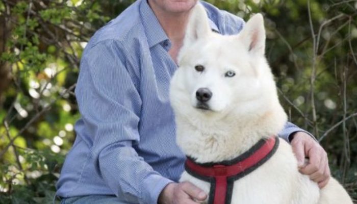 The child's mother left him alone in the park. Hero dog Husky wanted to save the life of a newborn child. See if the dog managed to save the child's life.