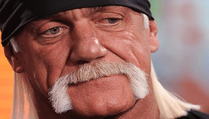 What the offspring of Hulk Hogan, the well known wrestler, seem to be.