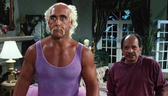 What the offspring of Hulk Hogan, the well known wrestler, seem to be.
