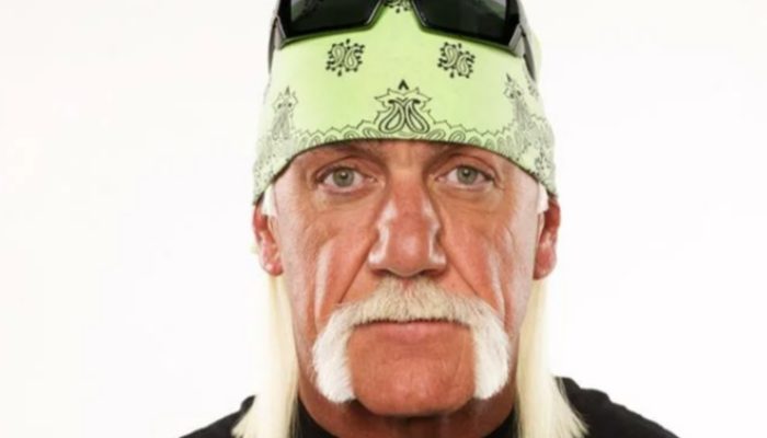 What the offspring of Hulk Hogan, the well known wrestler, seem to be.