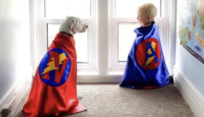 A sweet 1-year-old youngster carried harmony and concordance to a bothered canine that a liberal family had saved.