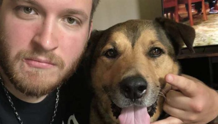 The lovable little dog is as yet stunned that he has been embraced following 2478 days in the safe house.