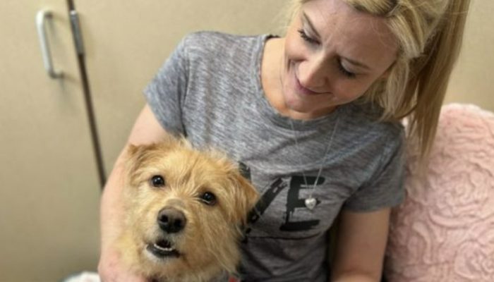 He is adopted by the vet who saved the existence of a canine that was laying out and about.