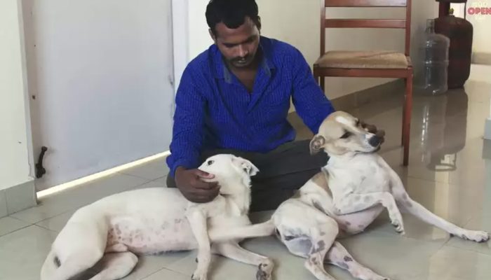 The most considerate man sets aside his cash up for a very long time to purchase an emergency vehicle for aiding wiped out lost dogs..