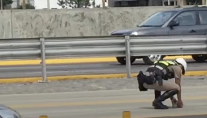 Overdose of love: In order to save the life of a tiny kitten, the most compassionate police officer stops traffic.