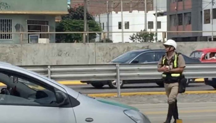 Overdose of love: In order to save the life of a tiny kitten, the most compassionate police officer stops traffic.