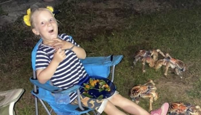 A family's picnic in Australia was disrupted by a swarm of enormous, savage crabs.