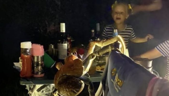 A family's picnic in Australia was disrupted by a swarm of enormous, savage crabs.