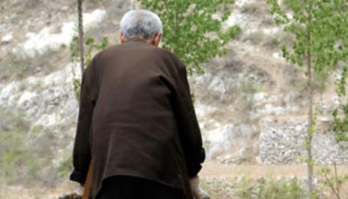 Veteran, 70, with physical limitations, planted 17,000 trees in 20 years. See how he seemed to be.