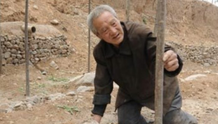 Veteran, 70, with physical limitations, planted 17,000 trees in 20 years. See how he seemed to be.