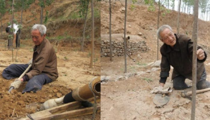 Veteran, 70, with physical limitations, planted 17,000 trees in 20 years. See how he seemed to be.