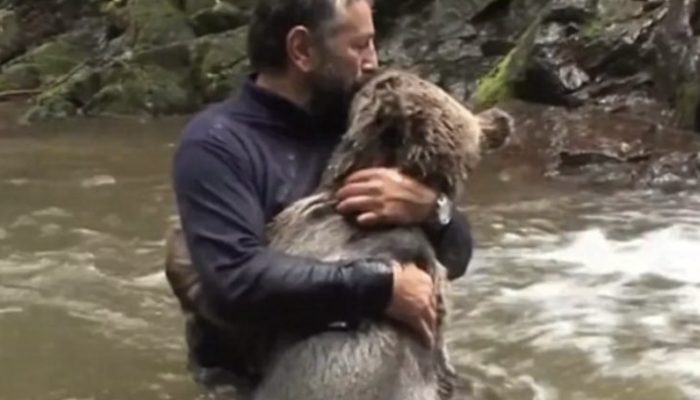 Come here, my boy. The small explorer and the friendly wild bear share a sweet embrace.