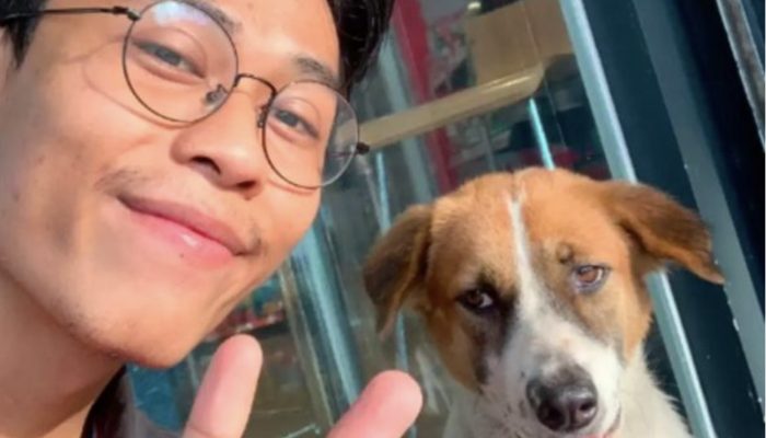 A stray dog decided to give him a visit after finding the workplace of a kind man.