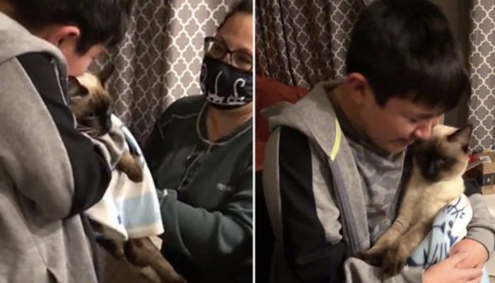 A young boy, who was very sad because his cat had gone missing, is overjoyed to find his beloved pet.