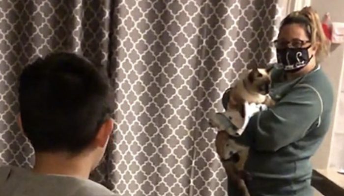 A young boy, who was very sad because his cat had gone missing, is overjoyed to find his beloved pet.