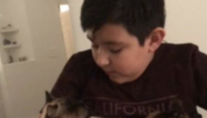 A young boy, who was very sad because his cat had gone missing, is overjoyed to find his beloved pet.