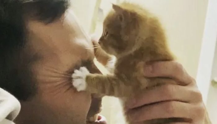 The kitten does not want to leave the people he loves because he is so appreciative of their care.