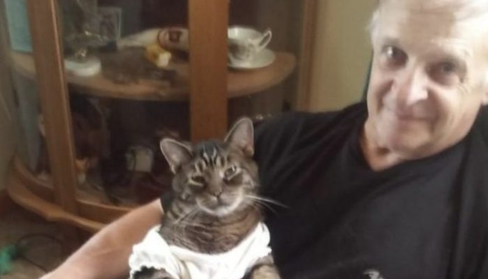For more than eleven years, the cat has begged his father for hugs every morning before he leaves for work.