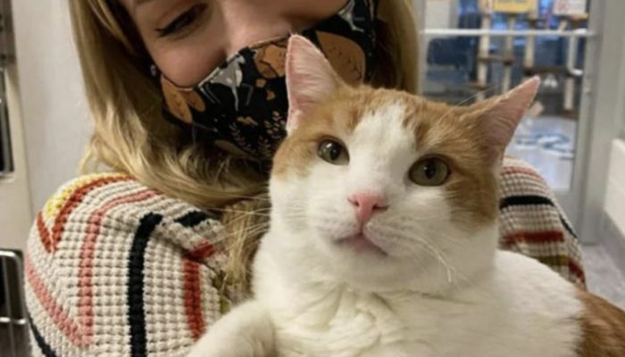 The cat that has a beautiful heart shape on her  back is looking for a family. What happened in the end is really interesting.