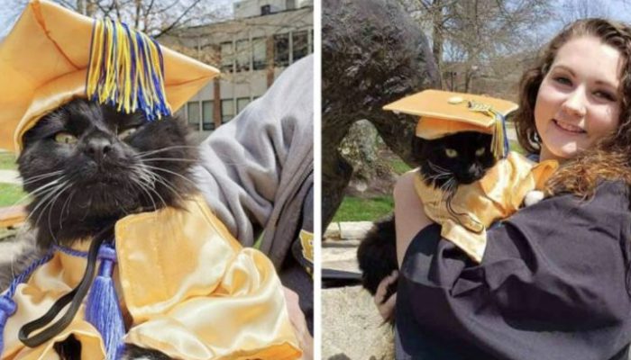 Along with her mother, the lovely cat wears a sweet bespoke gown as she graduates and receives a diploma in emotional support.