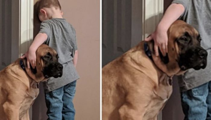 Moment that made me smile since I was a kid: During "time out," the loyal dog keeps the boy company.