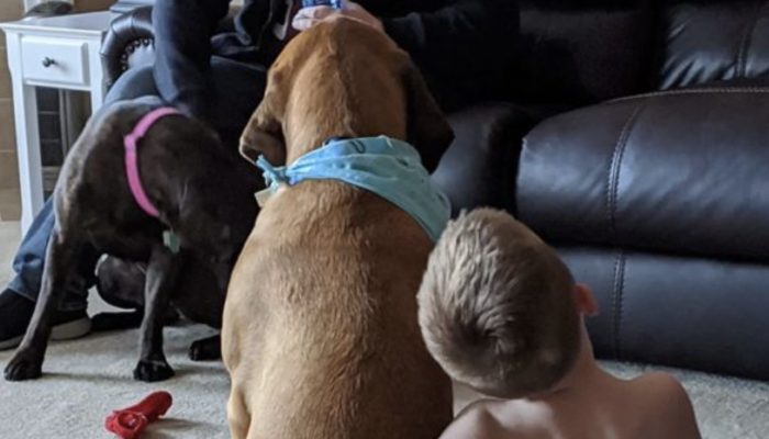 Moment that made me smile since I was a kid: During "time out," the loyal dog keeps the boy company.