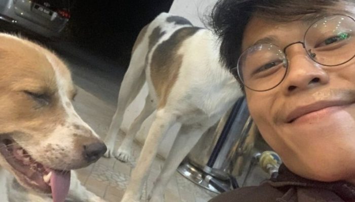 A stray dog decided to give him a visit after finding the workplace of a kind man.