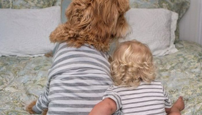 The amazing connection between an embraced youngster and his dog has circulated around the web on the web.